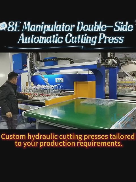 CNC Bilateral Automatic Feeding Hydraulic Cutting Machine DLC-8E